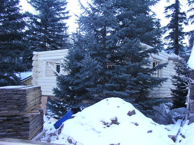 cabin25.JPG (92485 bytes)