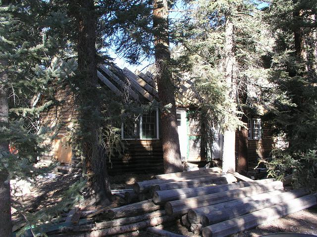 cabin28-trees.jpg (110086 bytes)