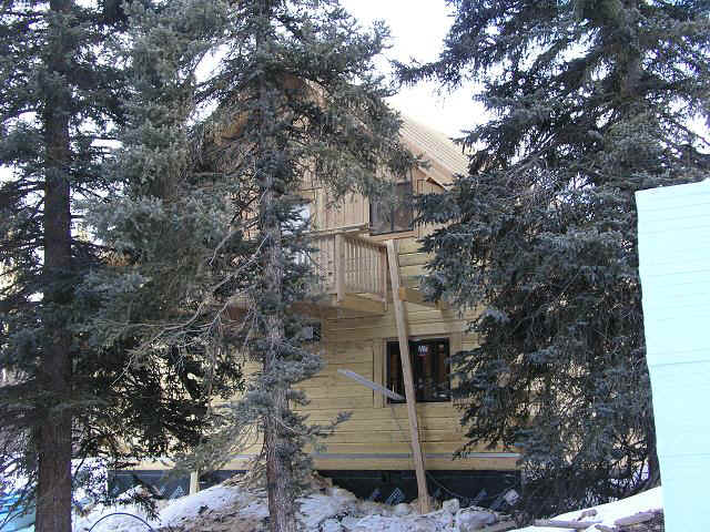 cabin29-bg.JPG (116777 bytes)