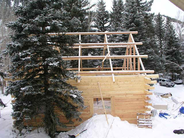 cabin30_truss.JPG (110044 bytes)