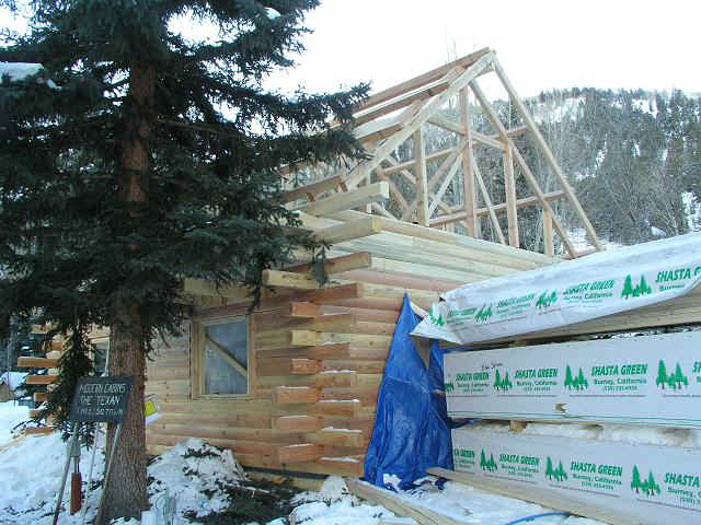 cabin31_truss.JPG (88627 bytes)