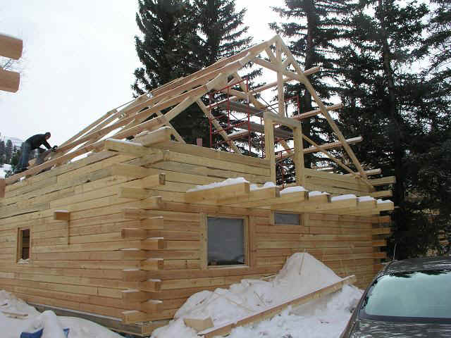 cabin36_truss.JPG (46803 bytes)